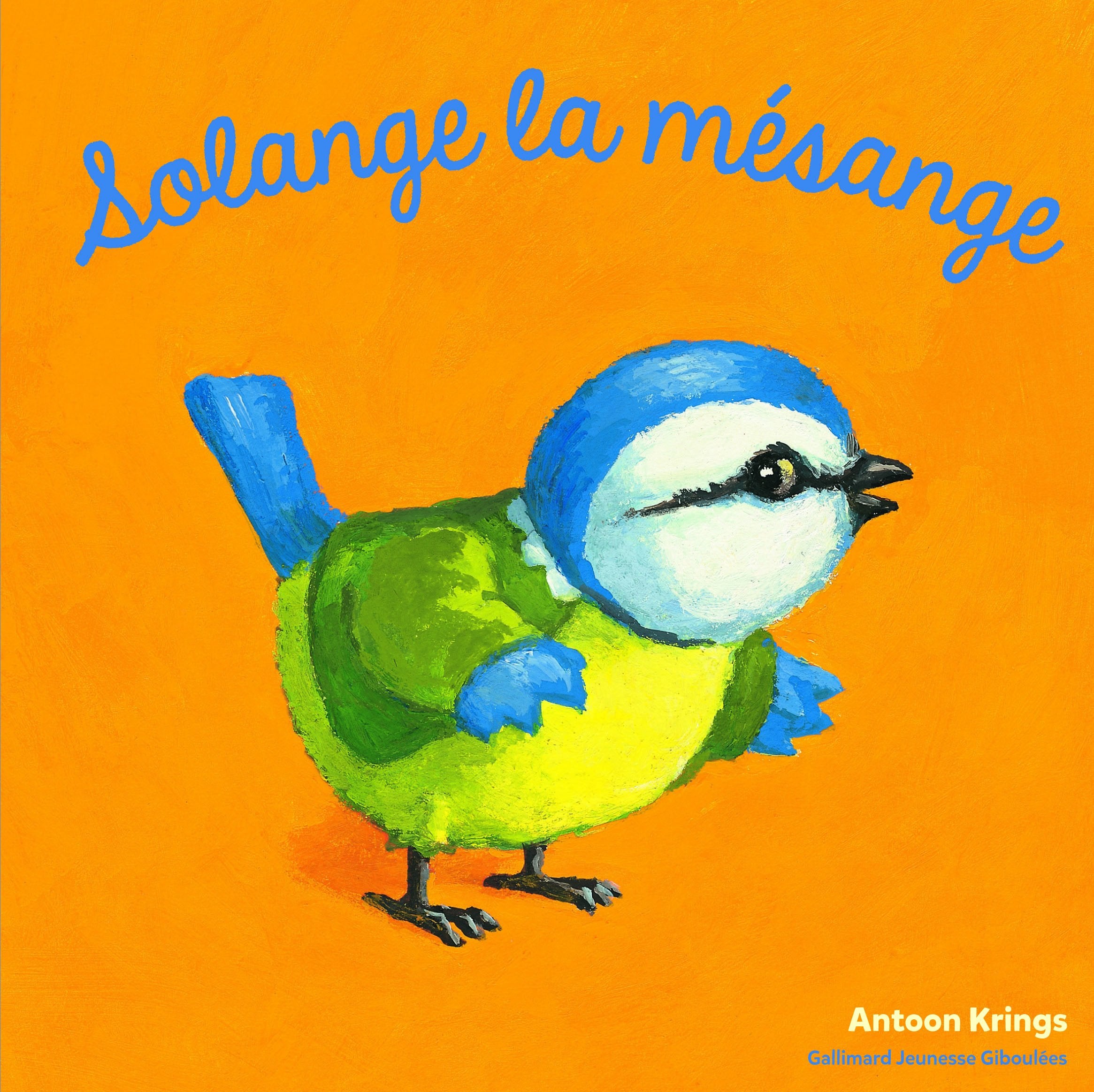 Les Drôles de Petites Bêtes - SOLANGE LA MESANGE book