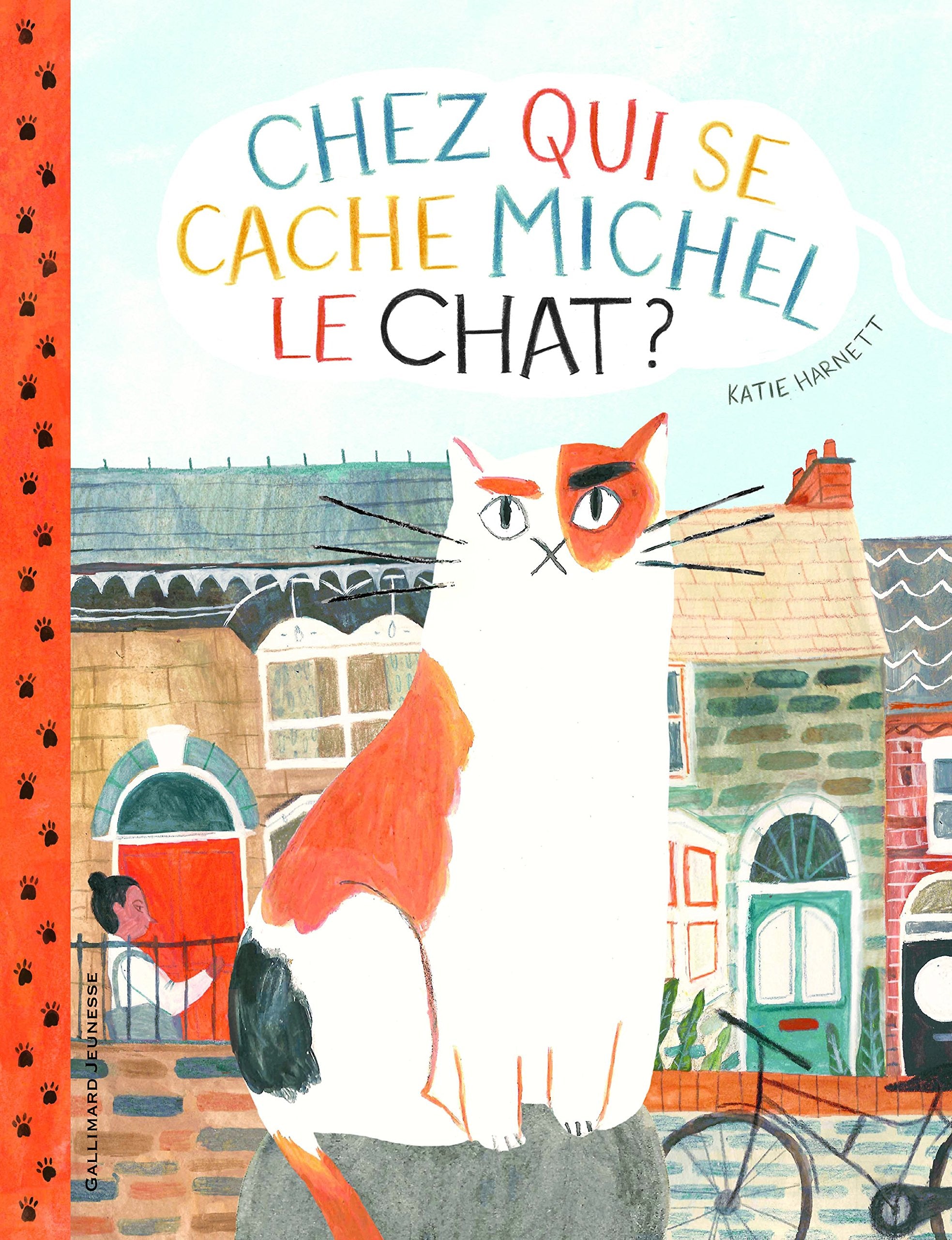 CHEZ QUI SE CACHE MICHEL LE CHAT ? - A partir de 3 ans book