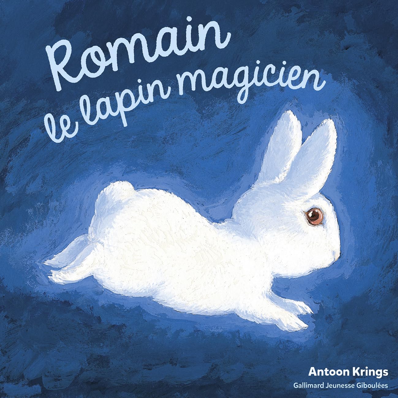 Les Drôles de Petites Bêtes - ROMAIN LE LAPIN MAGICIEN book