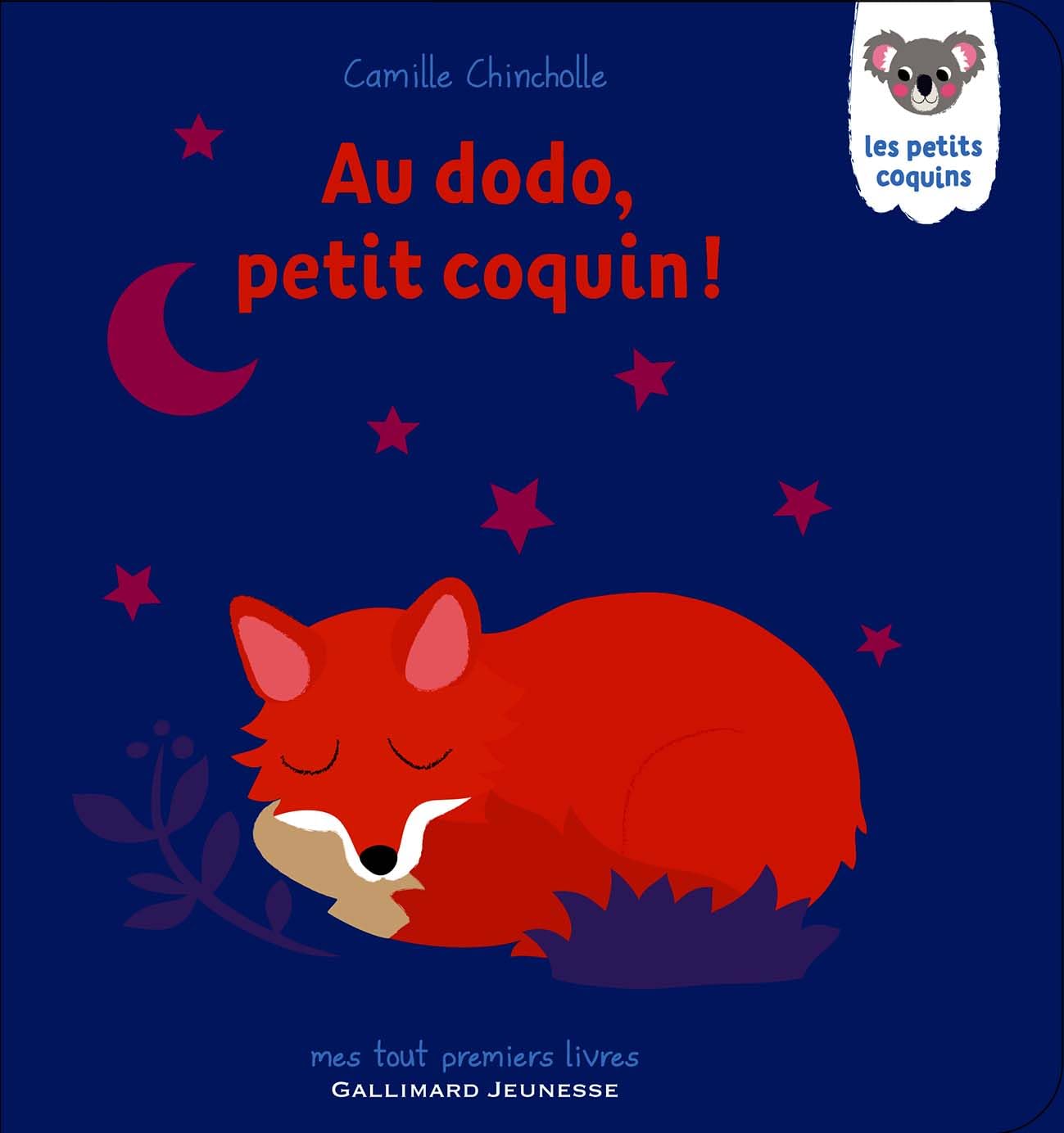 AU DODO, PETIT COQUIN book
