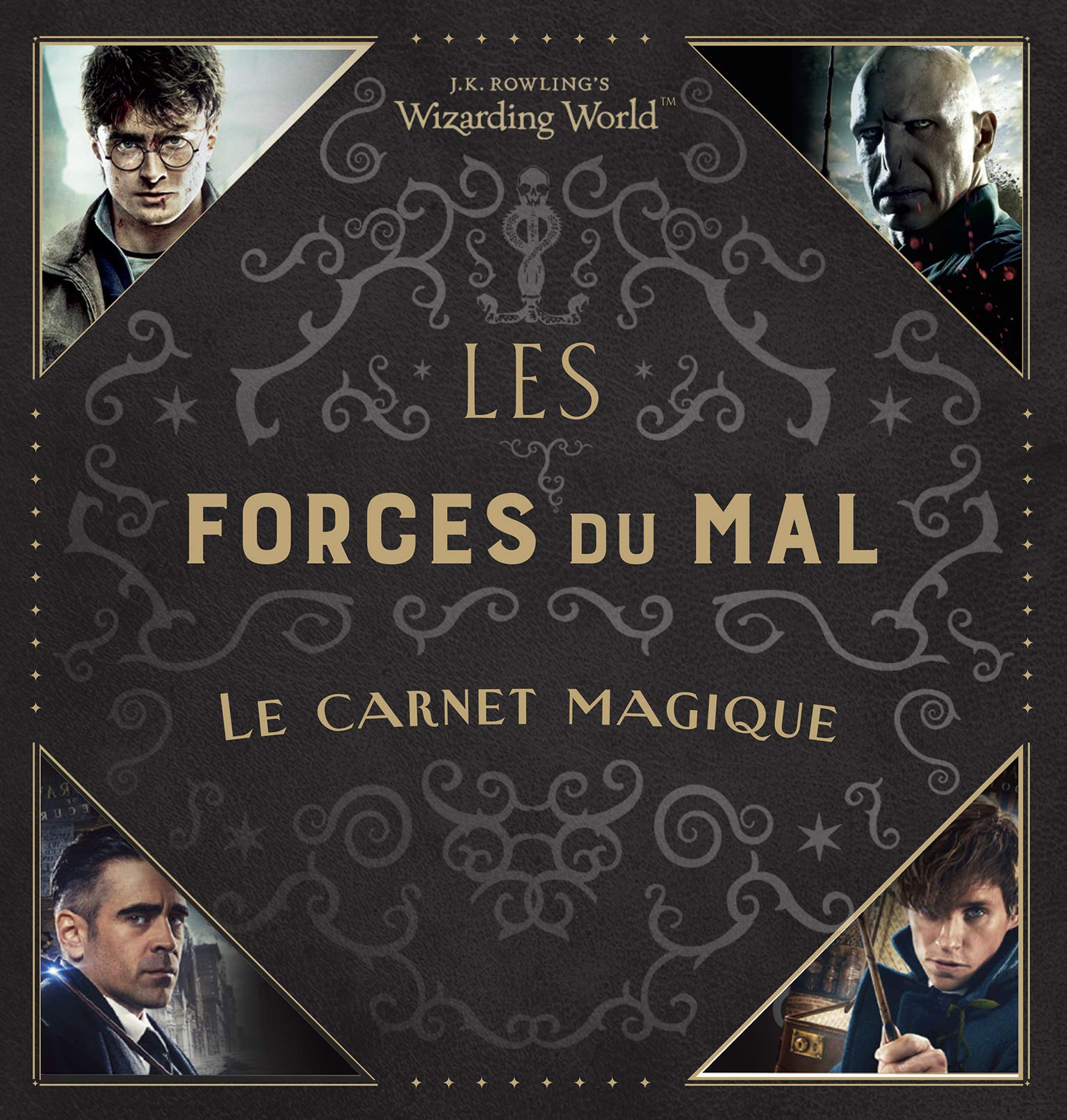 Les Forces Du Mal Le Carnet Magique (Le Monde Des Sorciers De J.k. Rowling) Fantasy & Sci-Fi