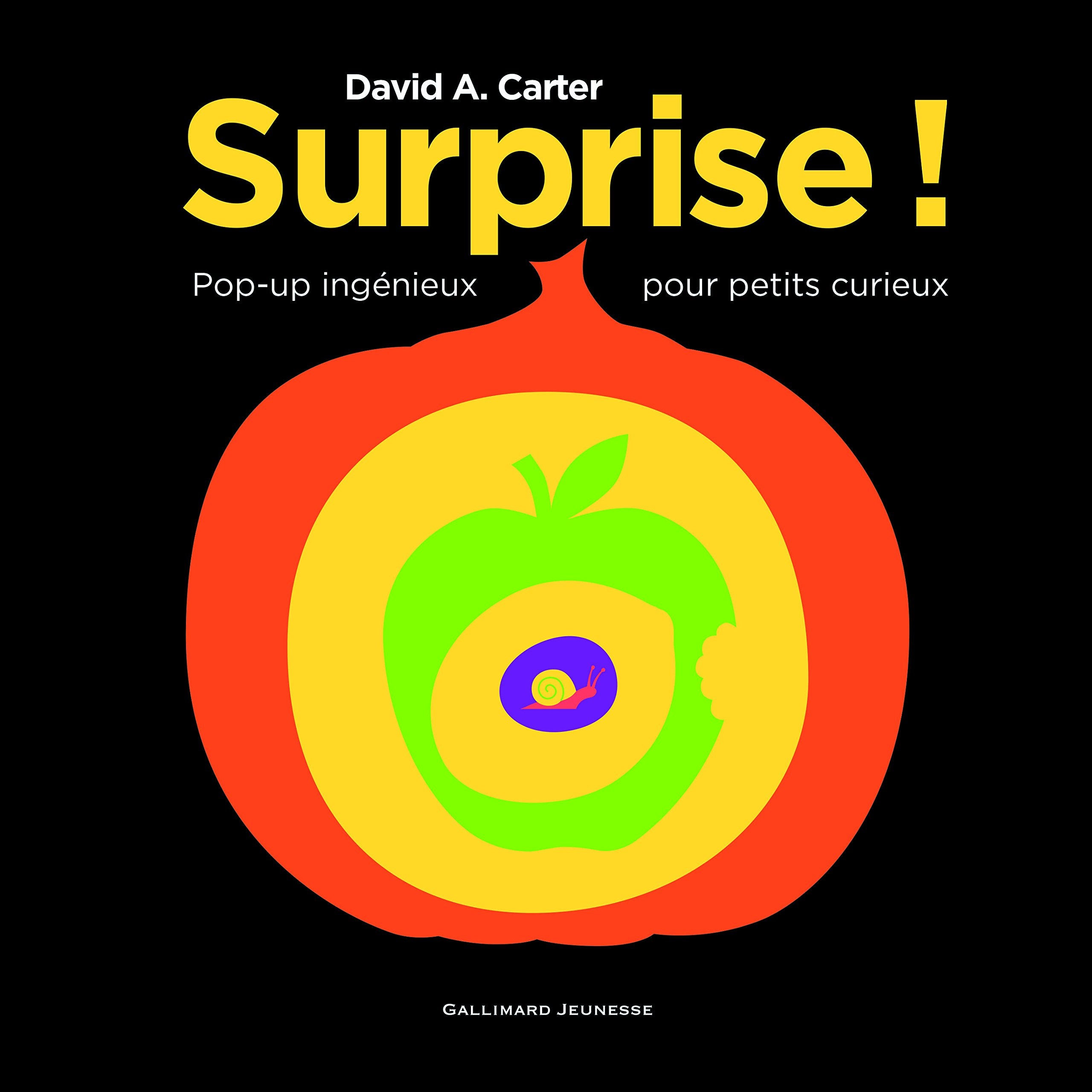Surprise !: Pop-up ingénieux pour petits curieux Children's books