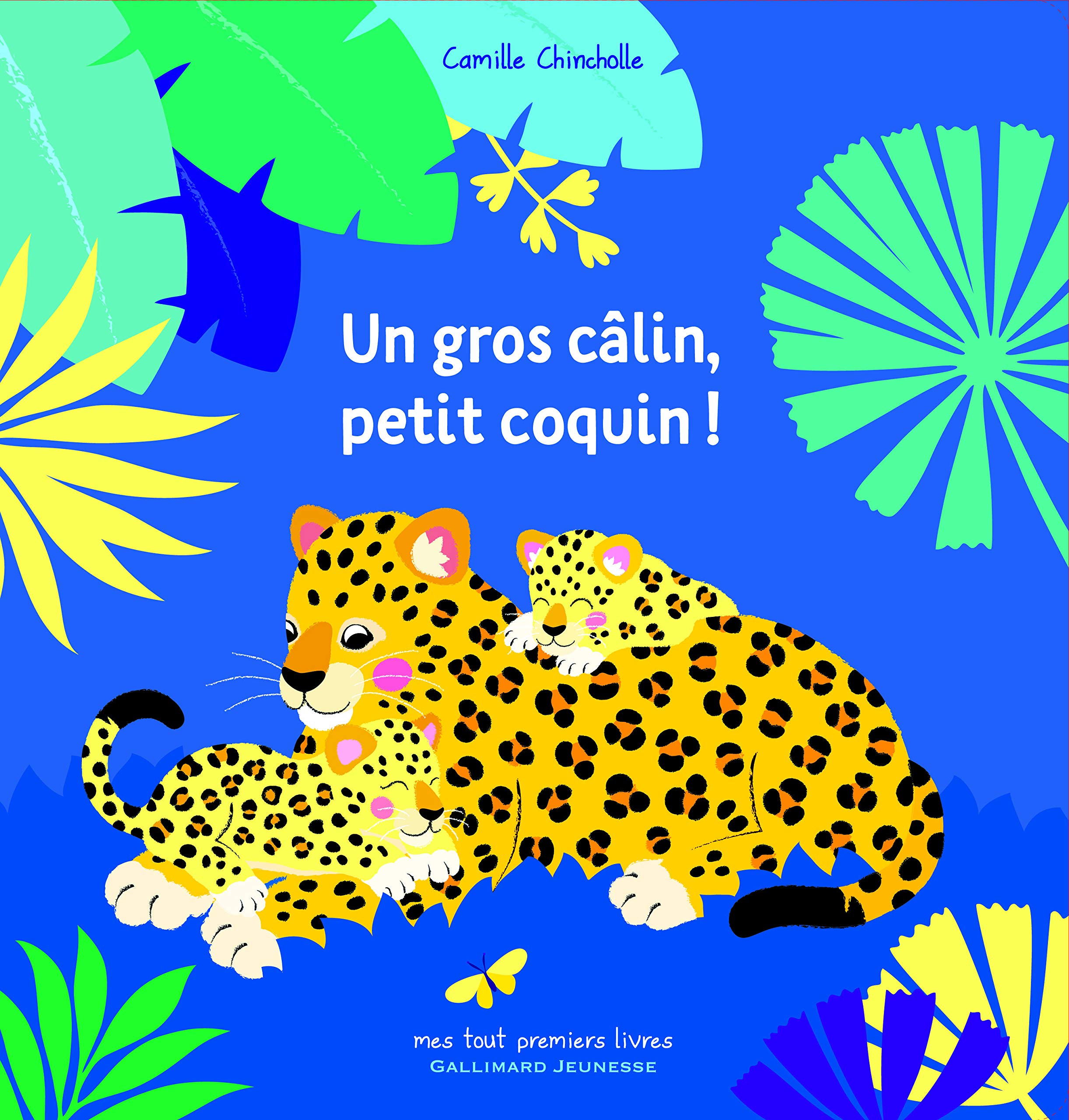 Un gros câlin, petit coquin ! Children's books