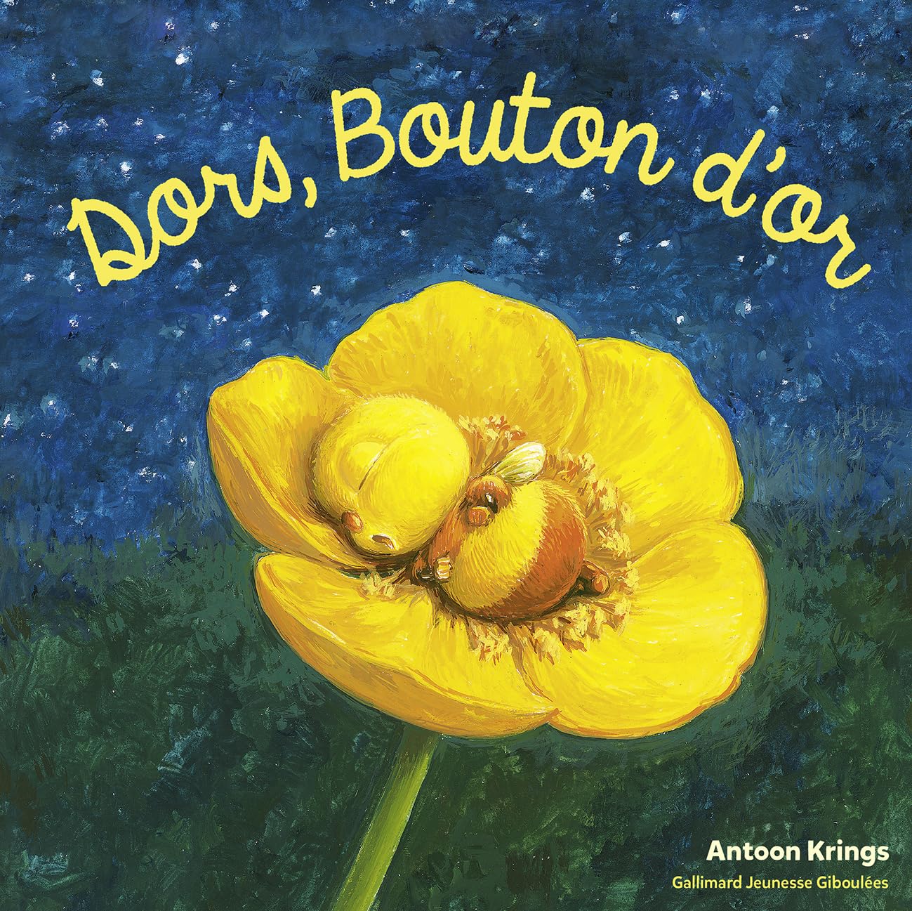Les Drôles de Petites Bêtes - DORS, BOUTON D'OR book