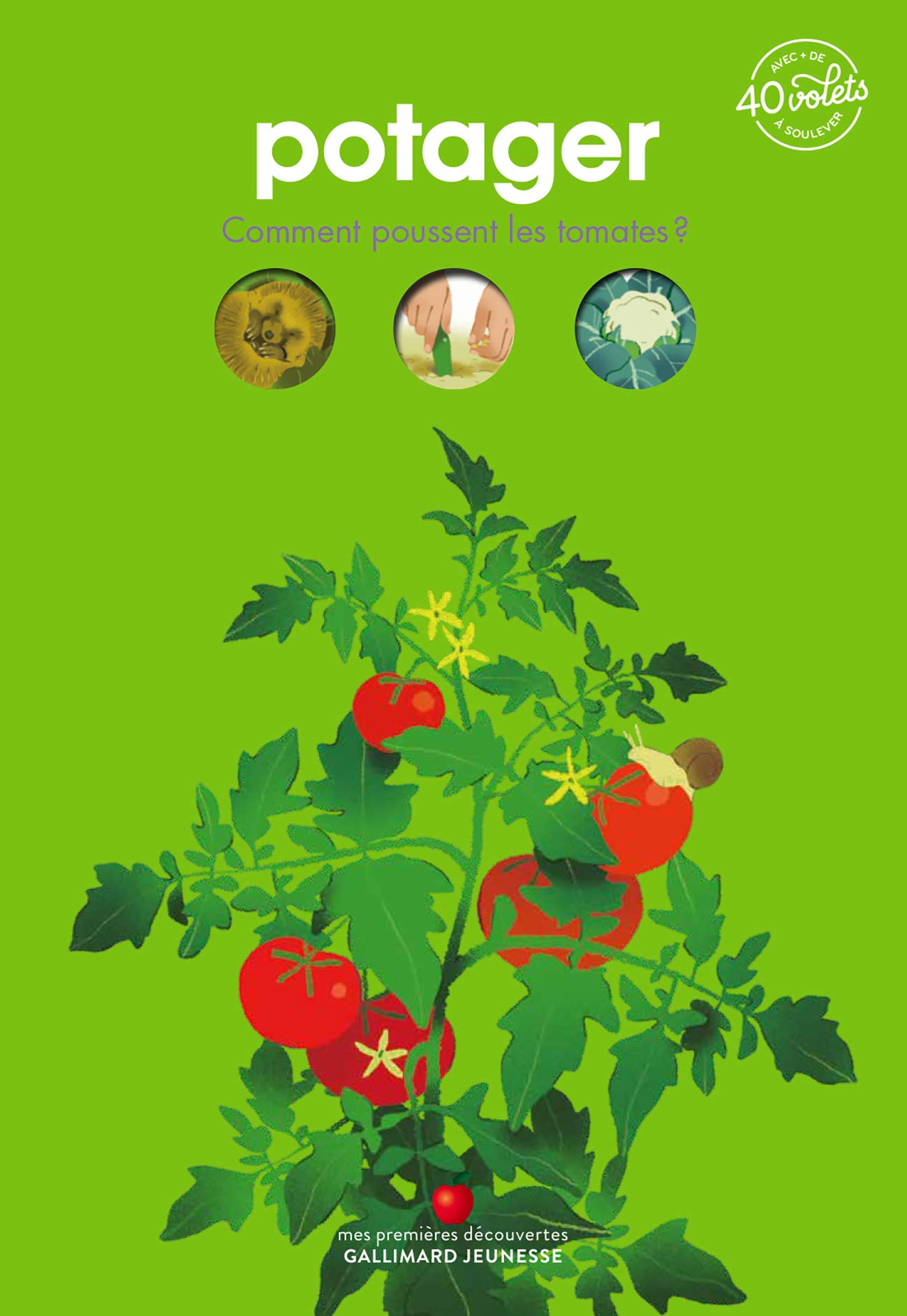 Potager: Comment poussent les tomates ? Children's books