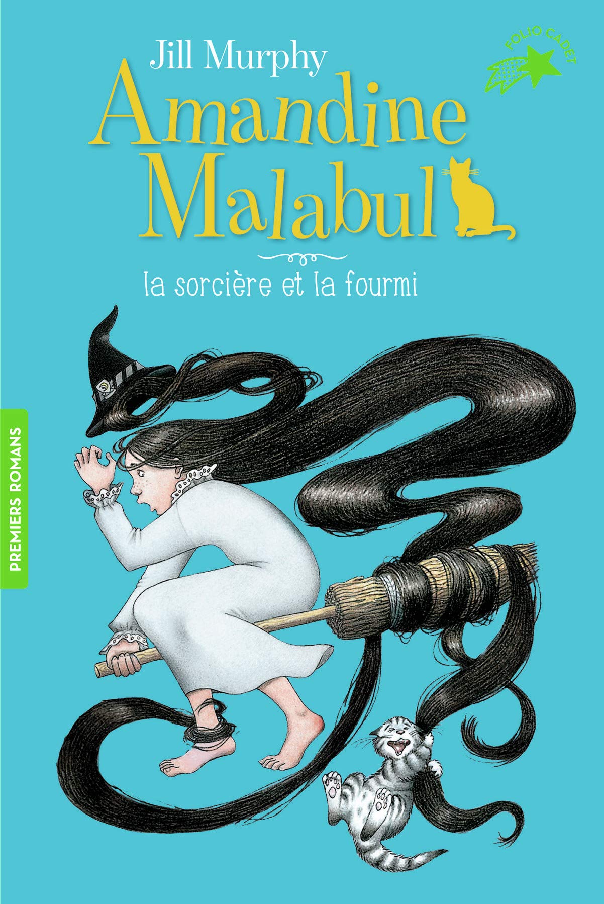 AMANDINE MALABUL, LA SORCIERE ET LA FOURMI book