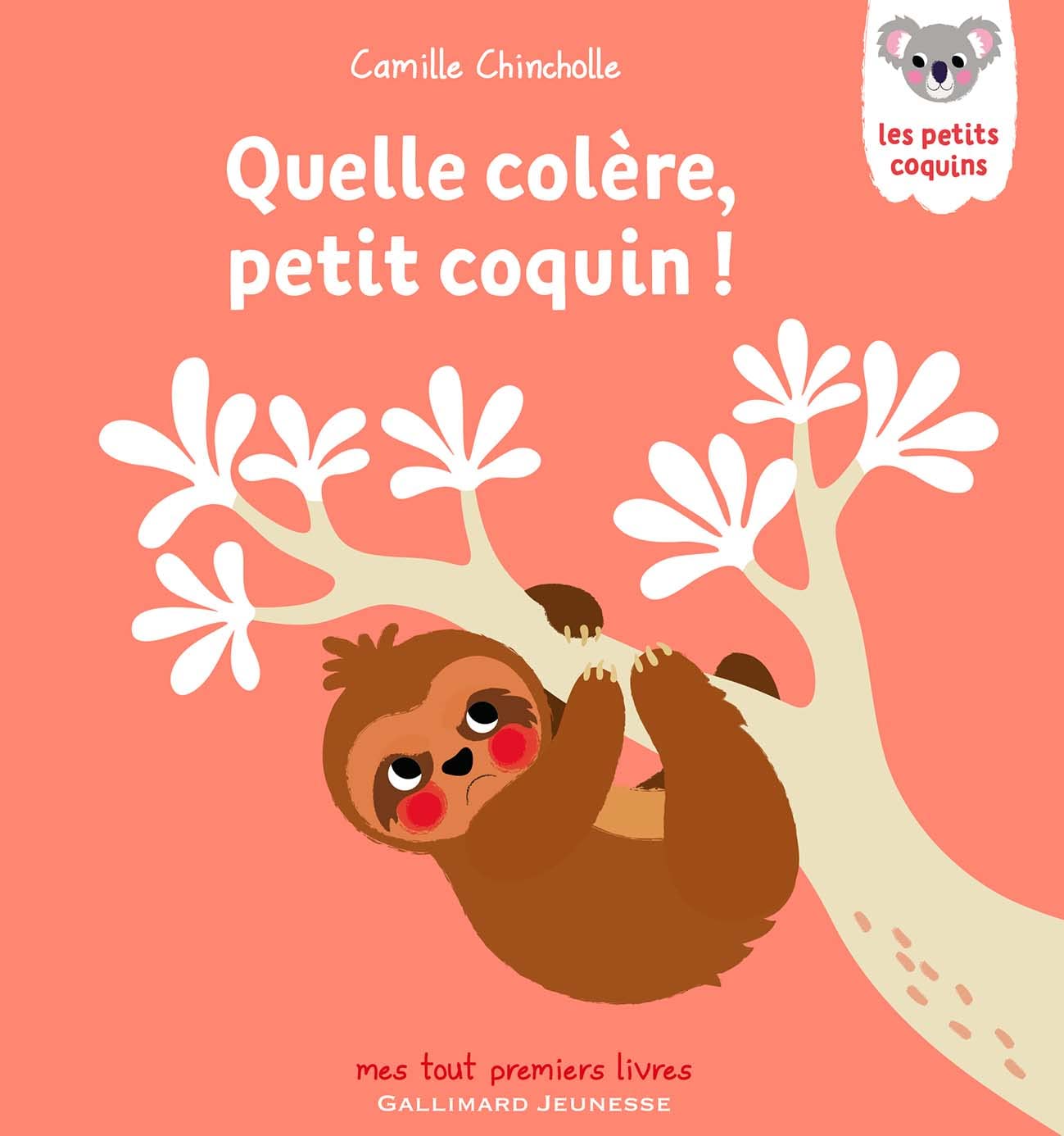 QUELLE COLERE, PETIT COQUIN book