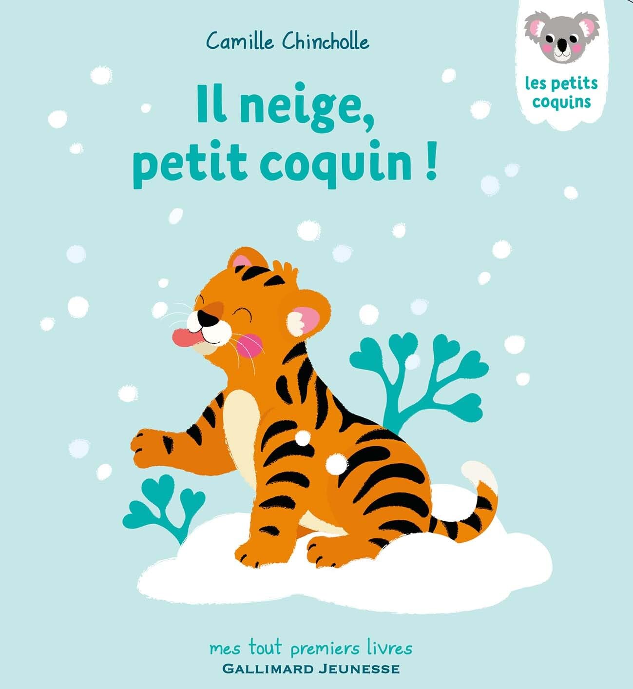 Il neige, petit coquin ! book