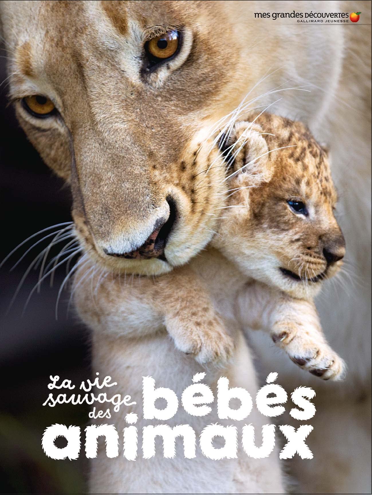 La vie sauvage des bébés animaux book