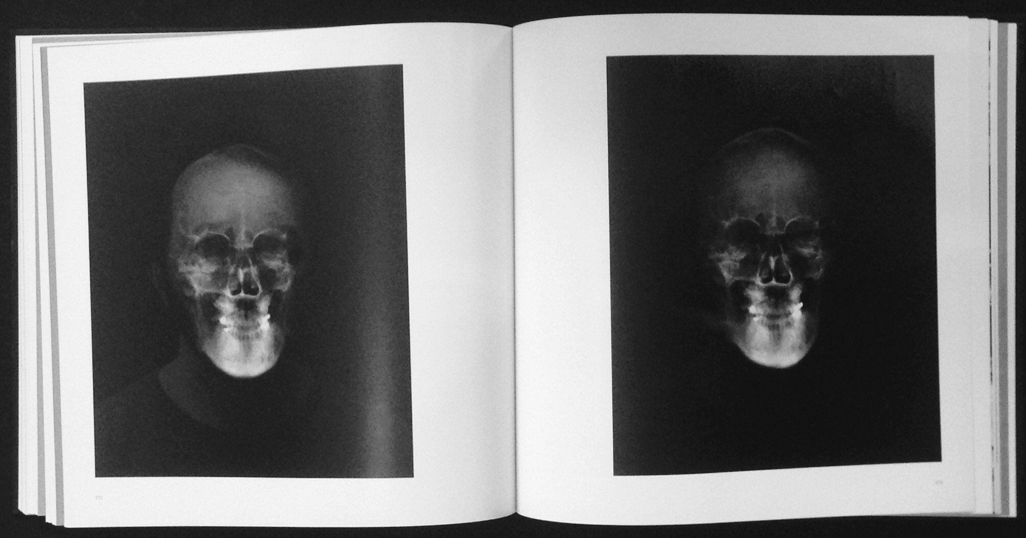 Vanites dans l'art contemporain (Les) book