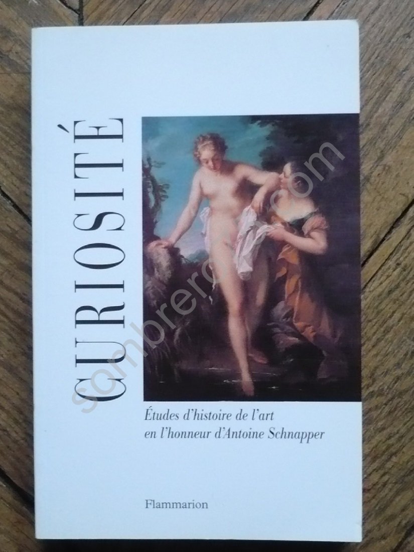 CURIOSITE. Etudes d'histoire de l'art en l'honneur d'Antoine Schnapper book