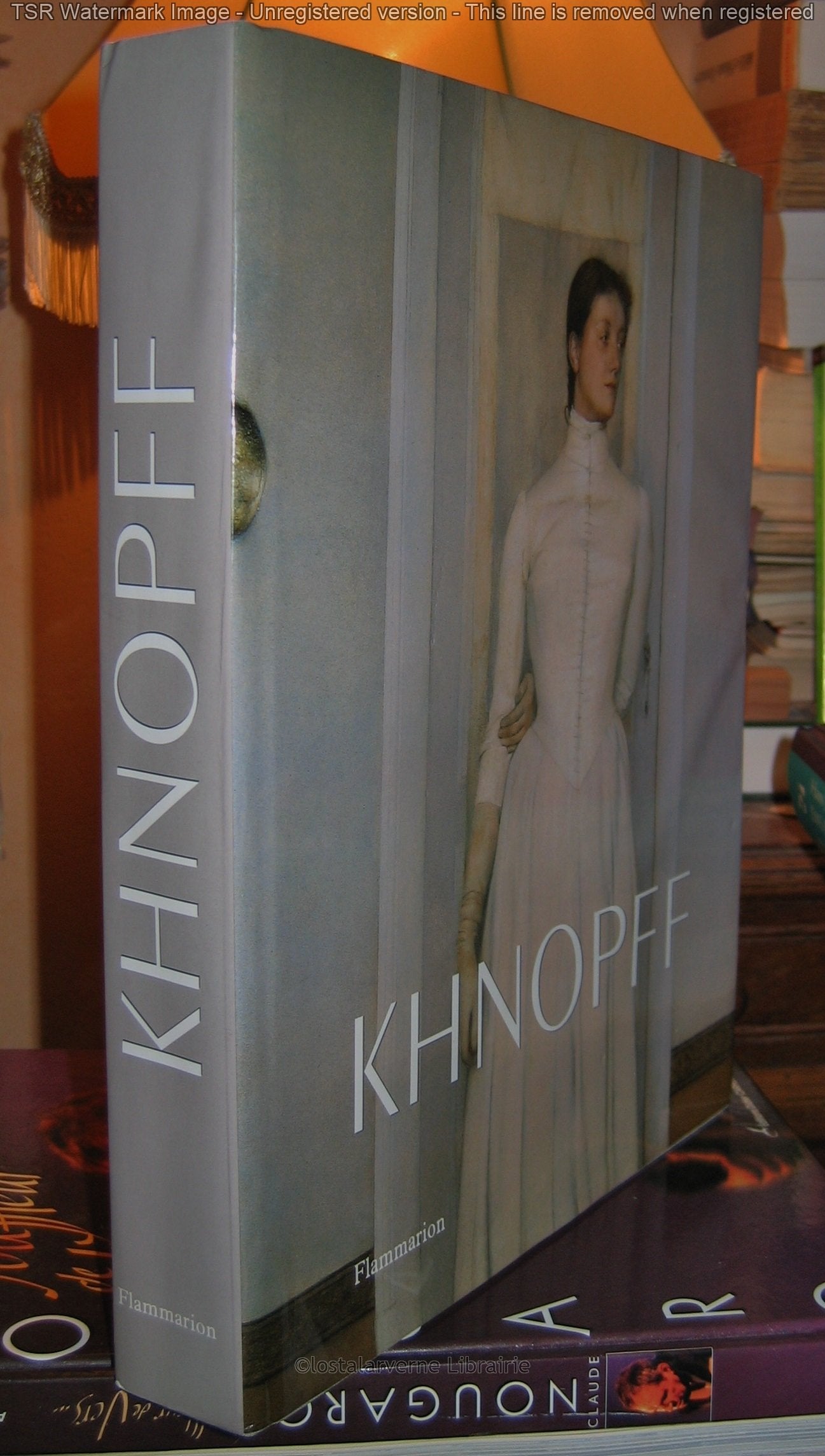 Khnopff ou L'ambigu poétique book