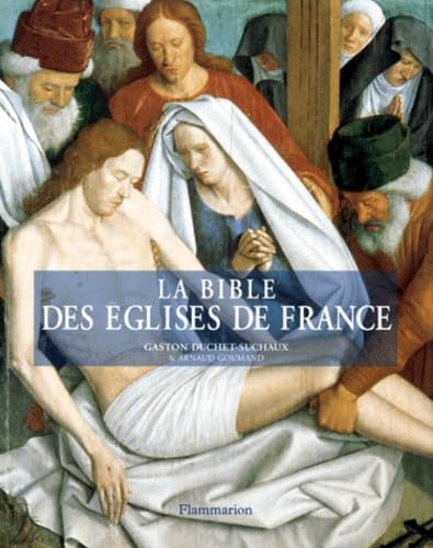 La Bible des églises de France book
