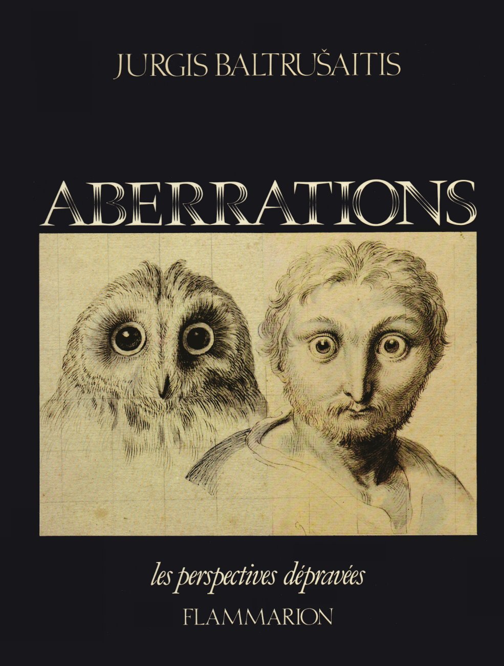 Les perspectives dépravées. Vol. 1. Aberrations : essai sur la légende des formes Film, Art & Culture