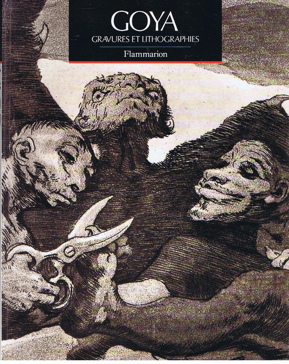 Goya, gravures et lithographies Books