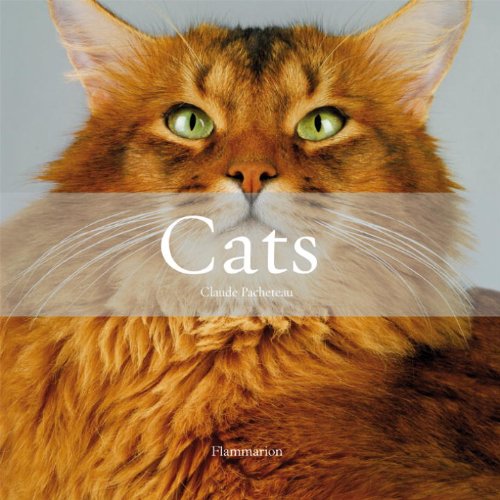 Cats: The Most Beautiful Cats/Cat Tales Pets