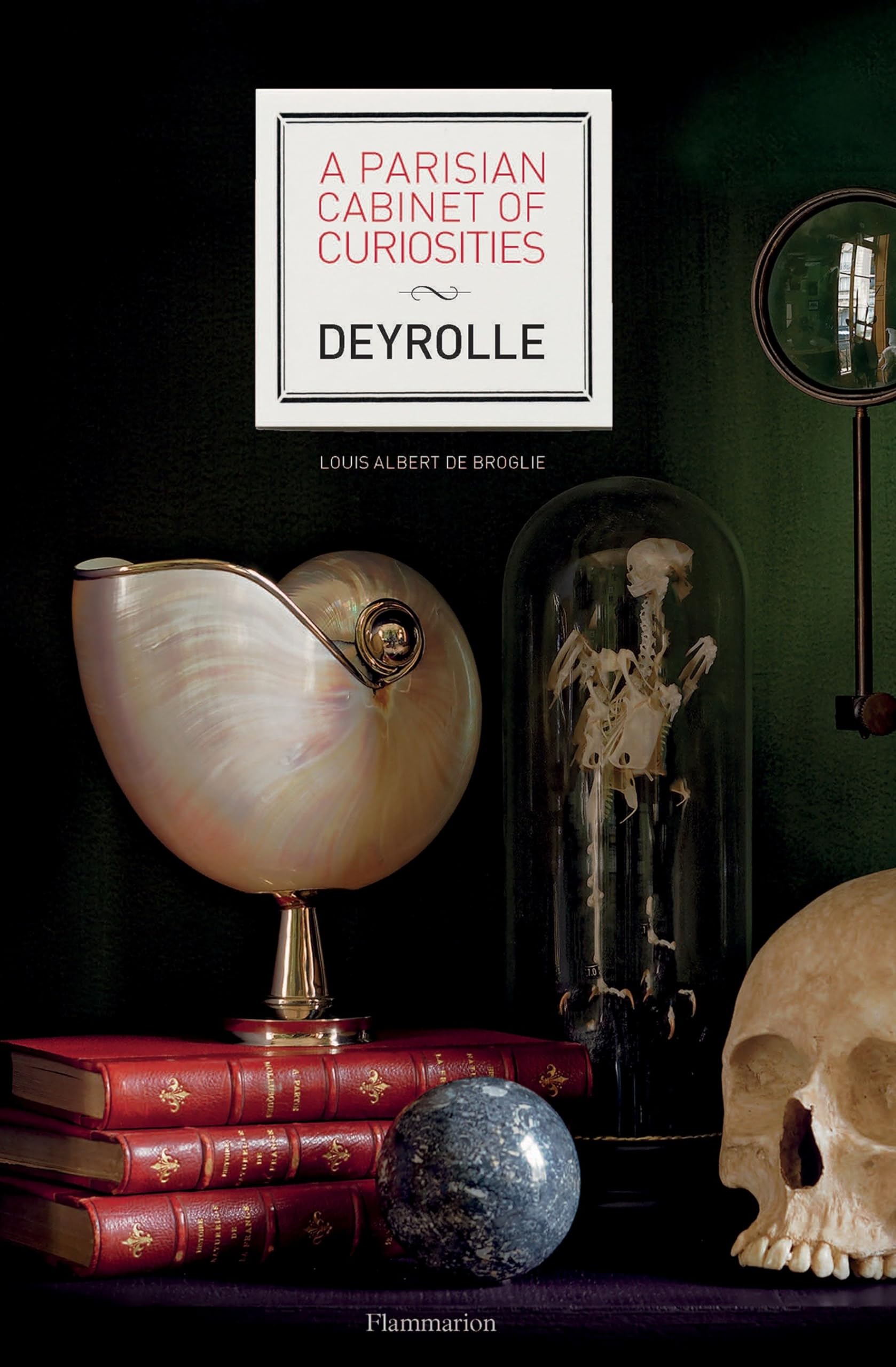 A Parisian Cabinet of Curiosities: Deyrolle Architecture