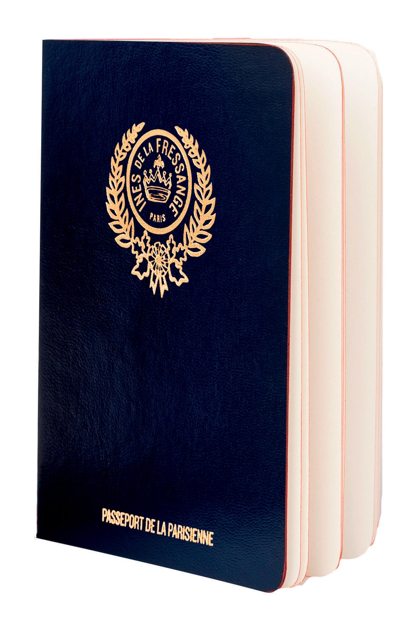Parisian Chic Passport: Blue book