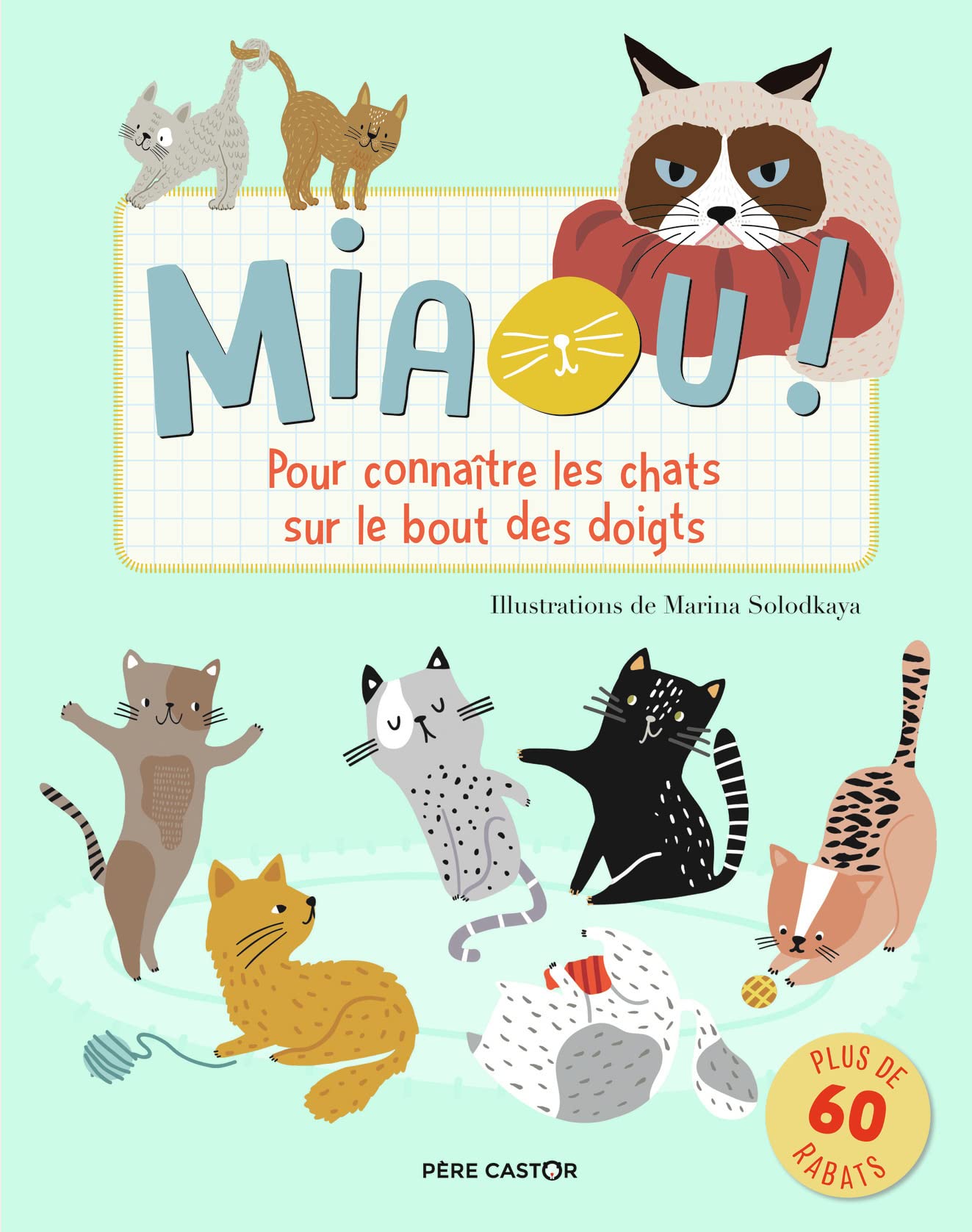 Miaou !: Pour connaître les chats sur le bout des doigts book