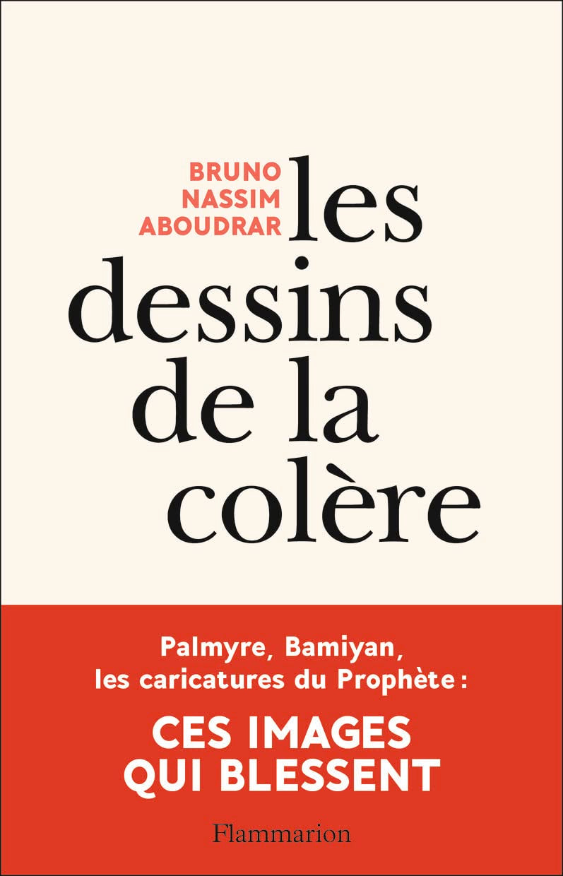 Les dessins de la colère book