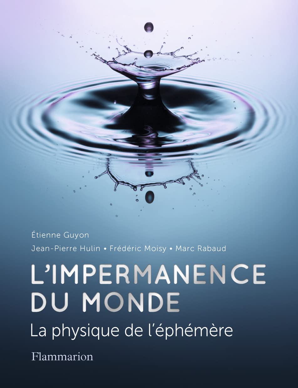 L'impermanence du monde: La physique de l'éphémère book