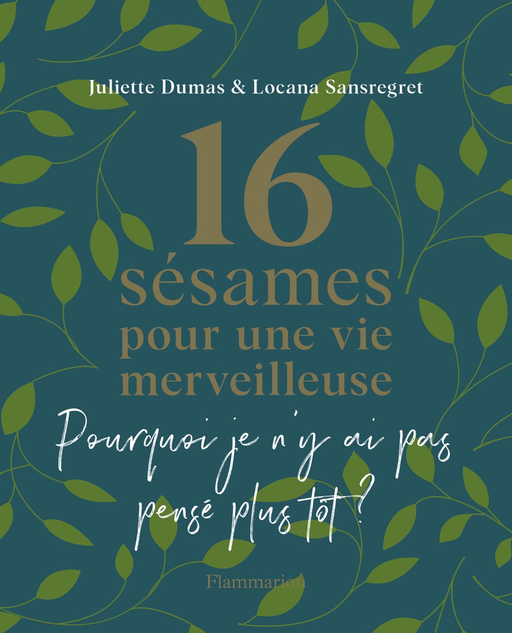 16 sésames pour une vie merveilleuse: Pourquoi je n'y ai pas pensé plus tôt ? book