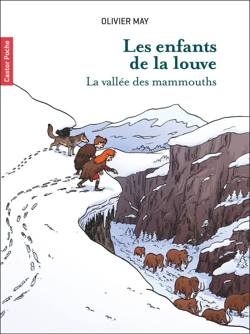 Les enfants de la Louve - Tome 3 - La vallée des mammouths book