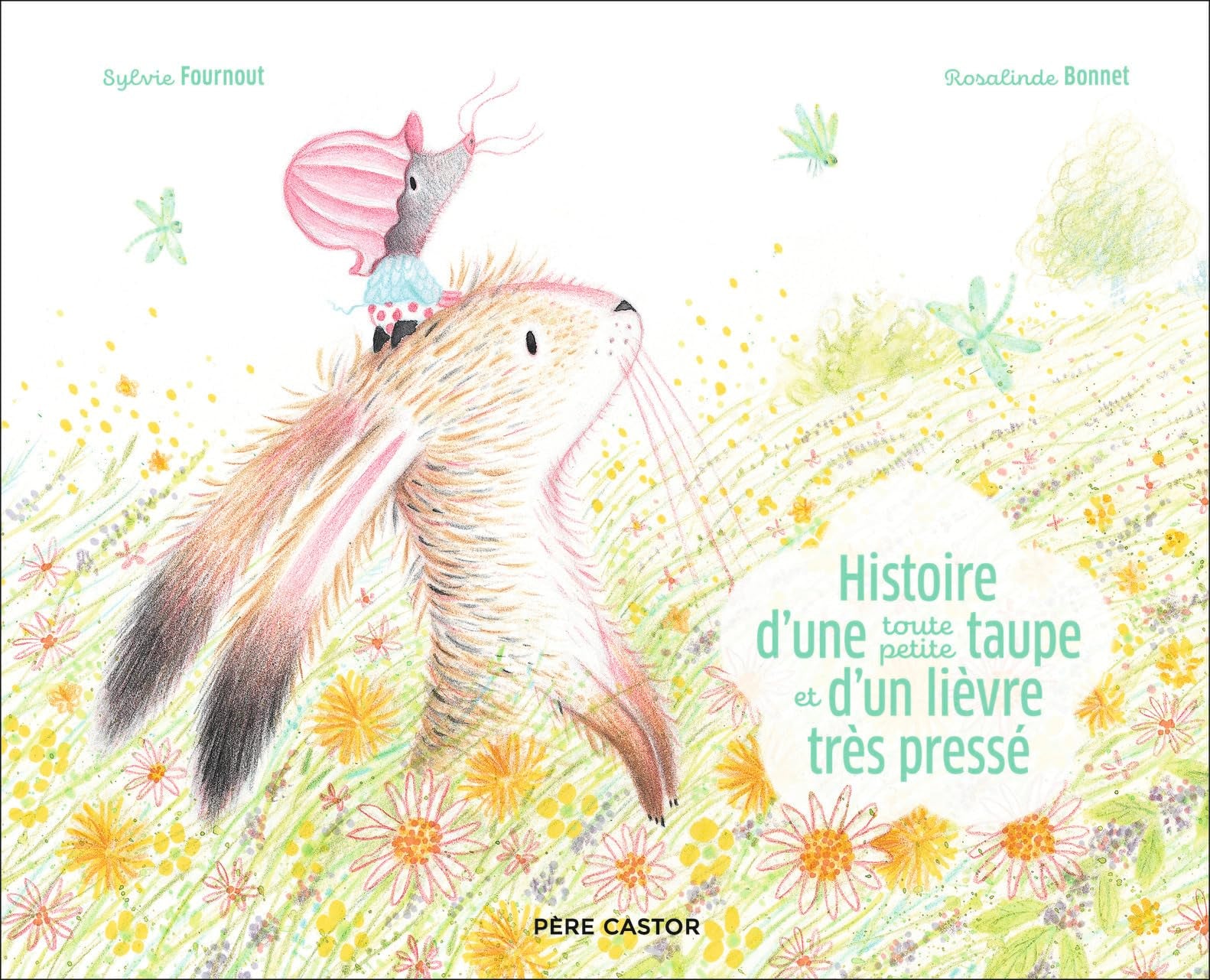 Histoire d'une toute petite taupe et d'un lièvre très pressé book