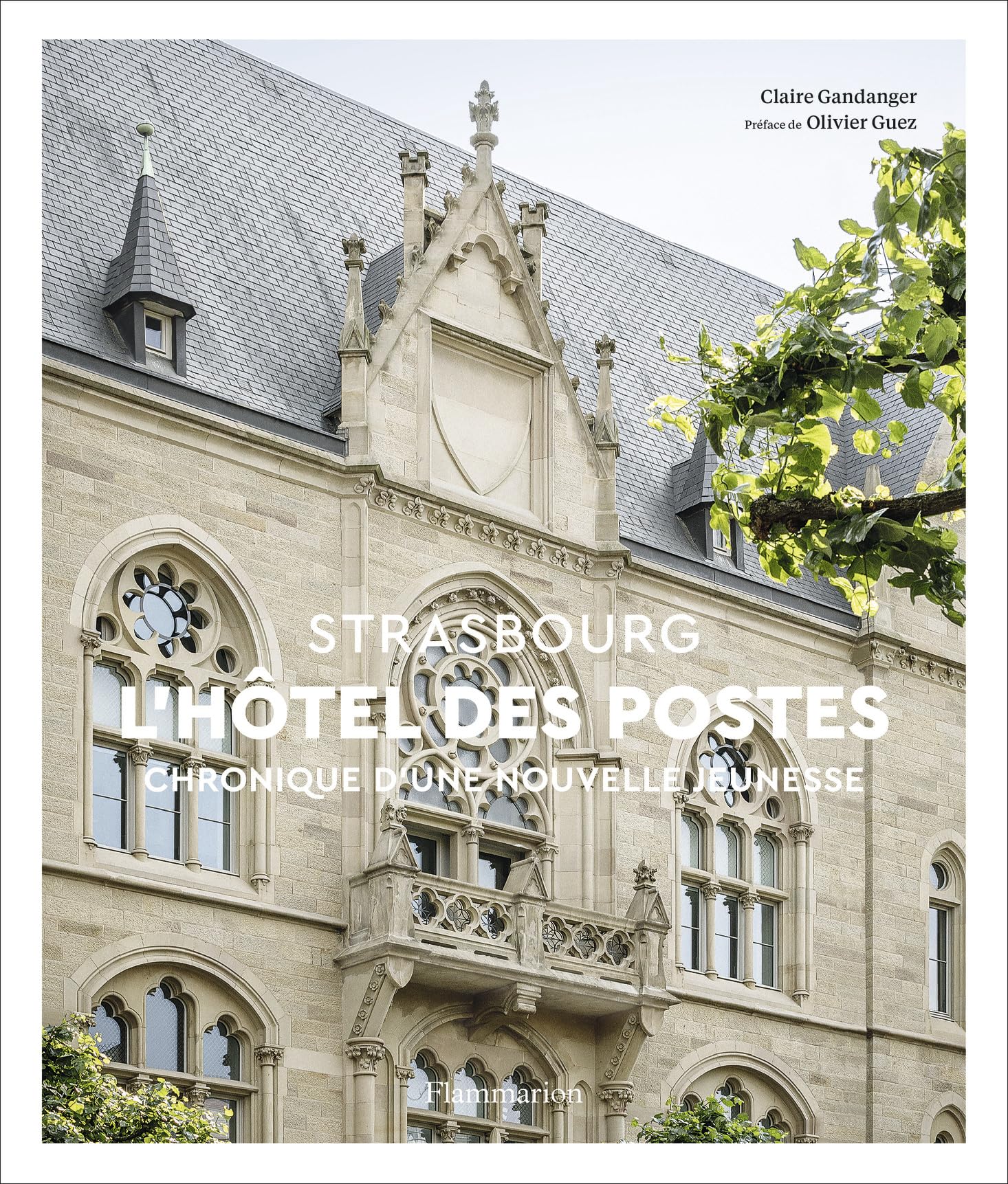 L'Hôtel des Postes de Strasbourg: Chronique d'une nouvelle jeunesse book