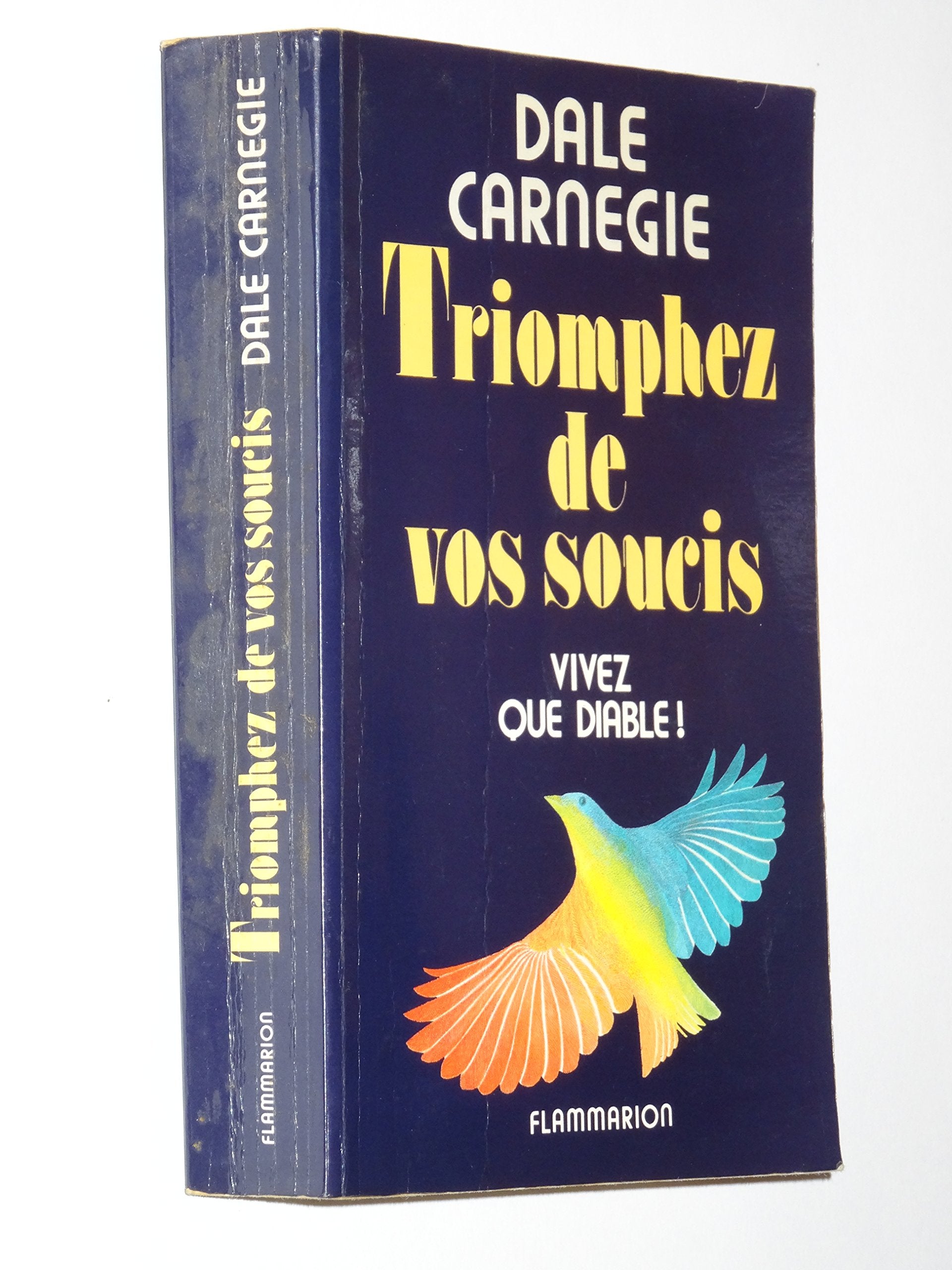 Triomphez de vos soucis : vivez que diable ! Essays & Short Stories