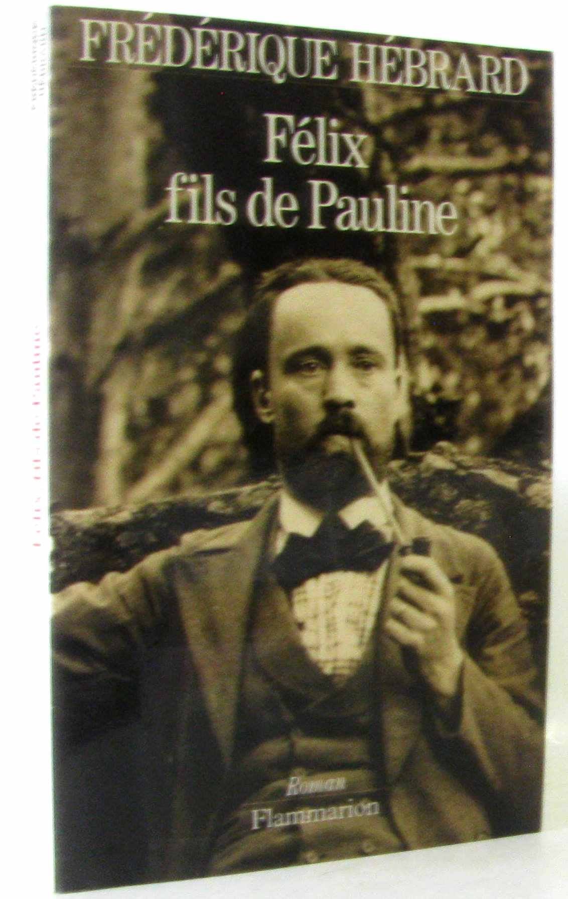 Félix, fils de Pauline Contemporary literature