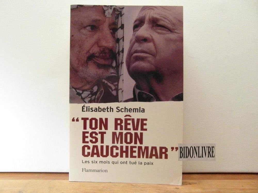Ton rêve est mon cauchemar: LES SIX MOIS QUI ONT TUE LA PAIX Essays & Short Stories