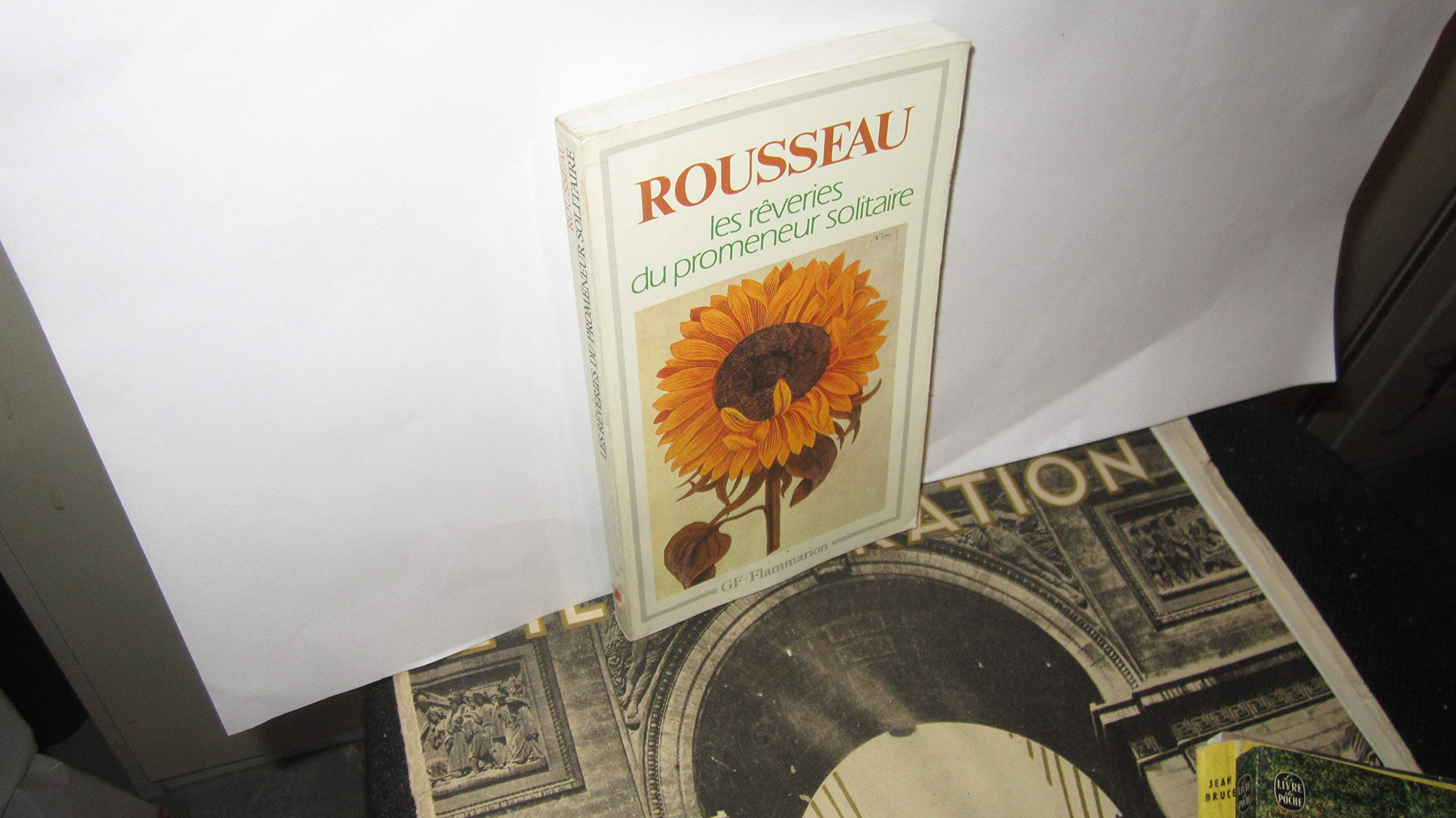 Les Reveries Du Promeneur Solitaire Philosophy