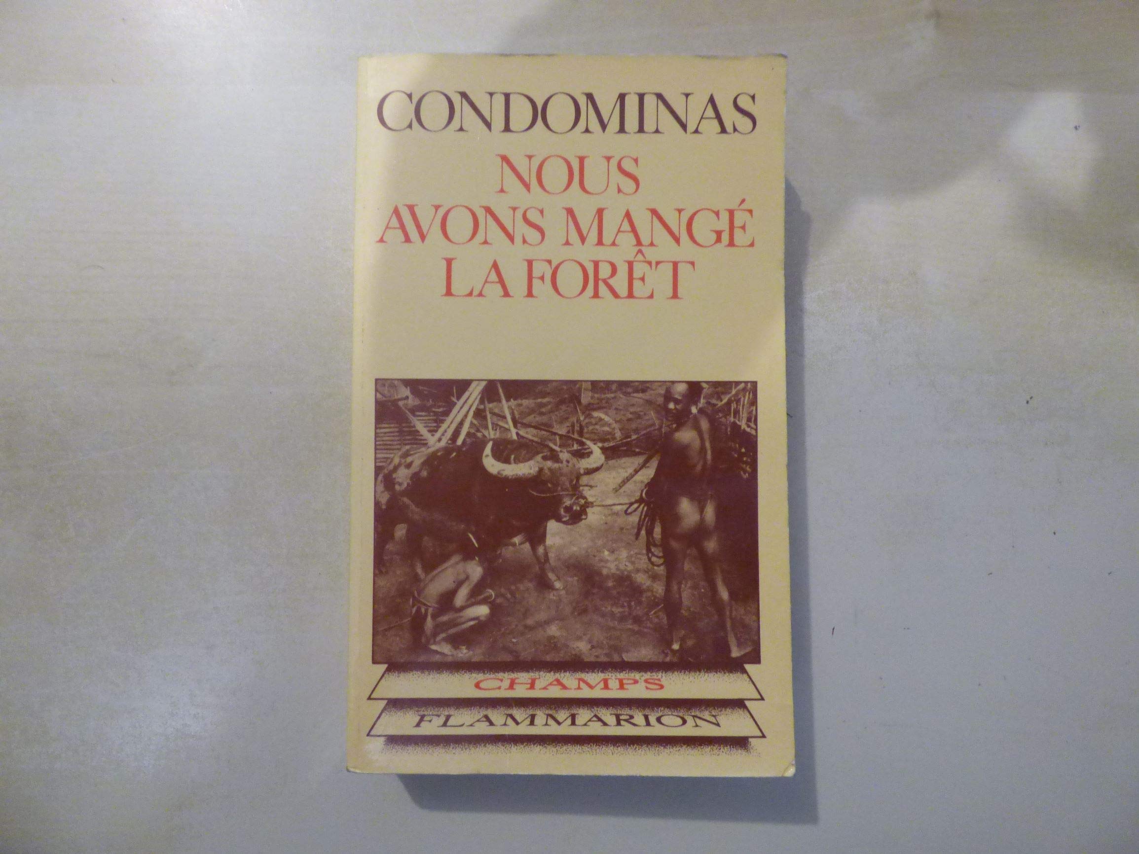 Nous avons mangé la forêt de la Pierre-Génie Gôo Books