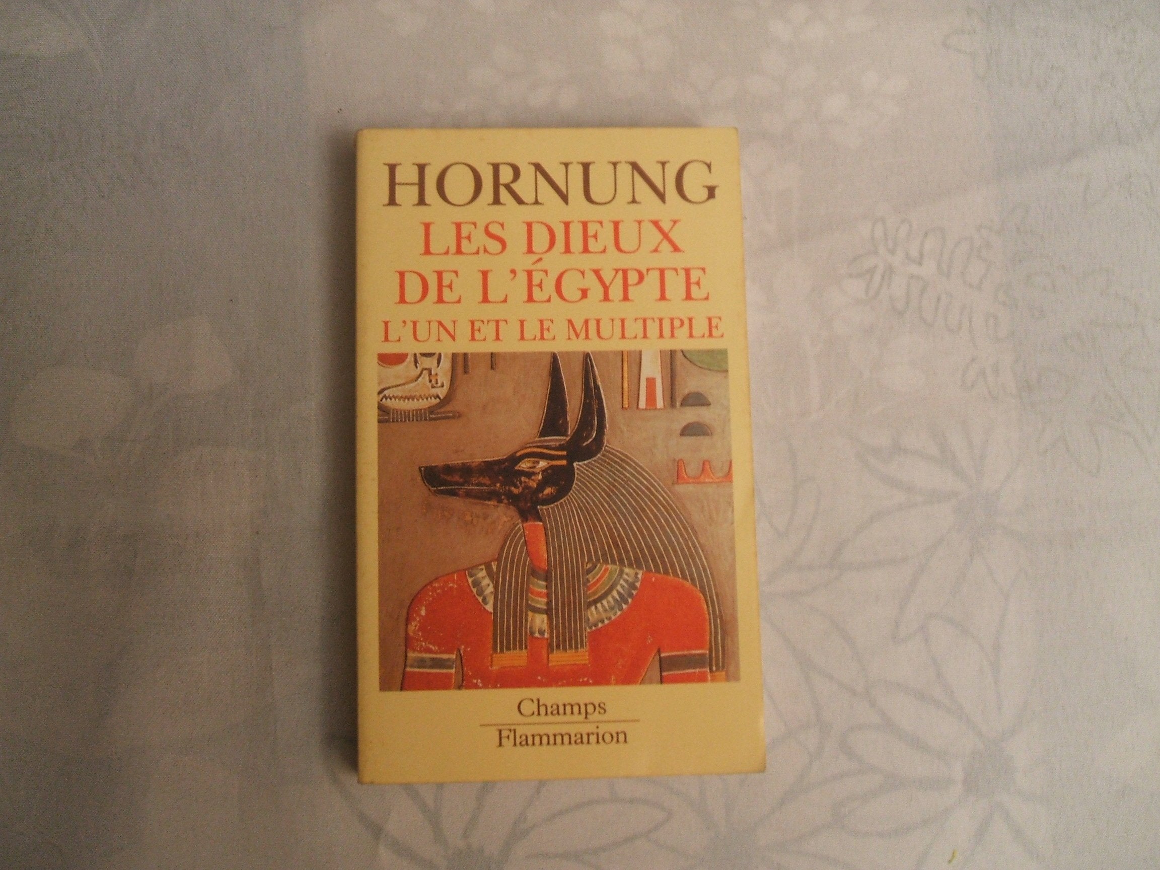 Les Dieux de l'Egypte : l'un et le multiple Books