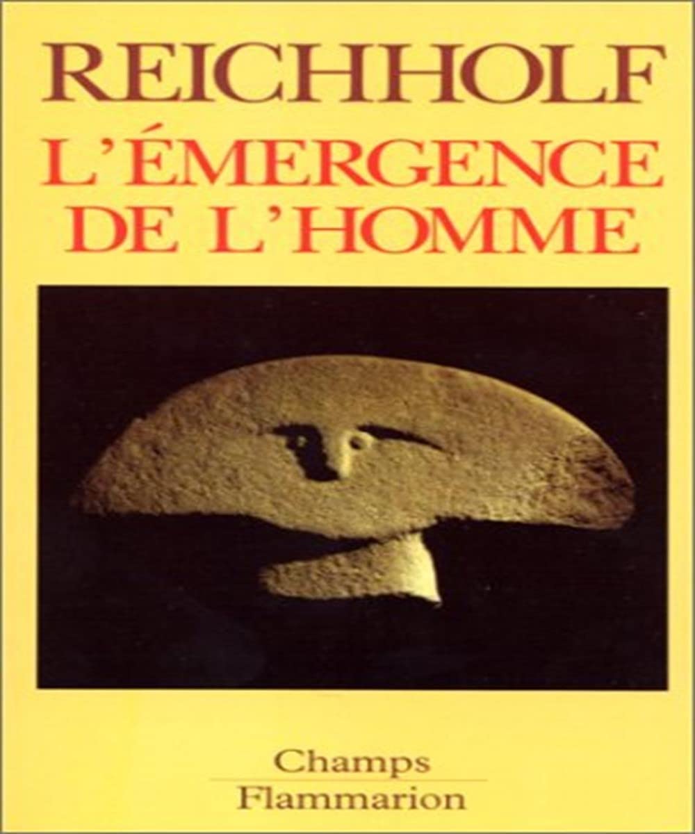 L'EMERGENCE DE L'HOMME - L'APPARITION DE L'HOMME ET SES RAPPORTS AVEC LA NATURE: L'APPARITION DE L'HOMME ET SES RAPPORTS AVEC LA NATURE Mathematics