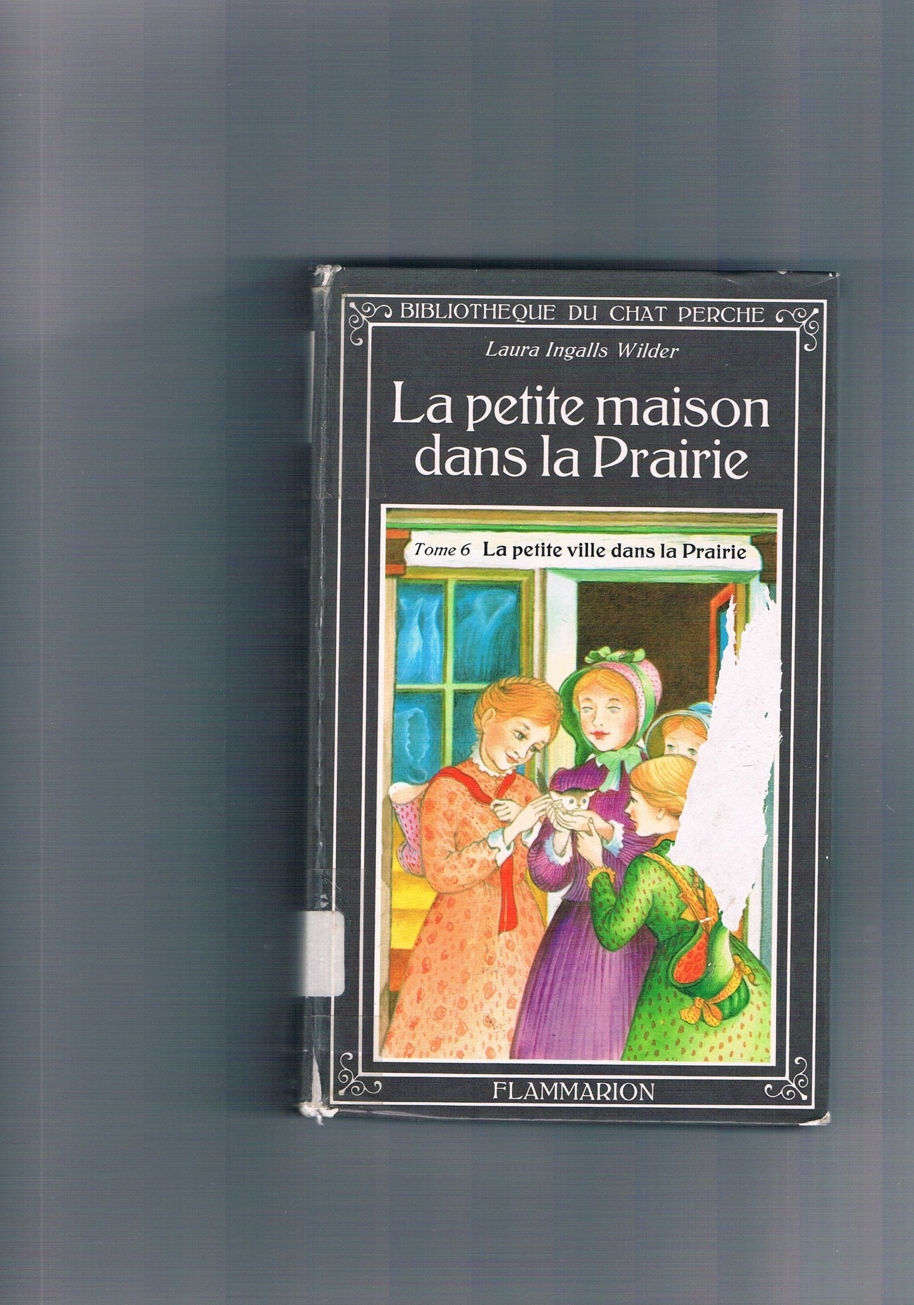 La petite maison dans la prairie. Vol. 6. La petite ville dans la prairie Children's books