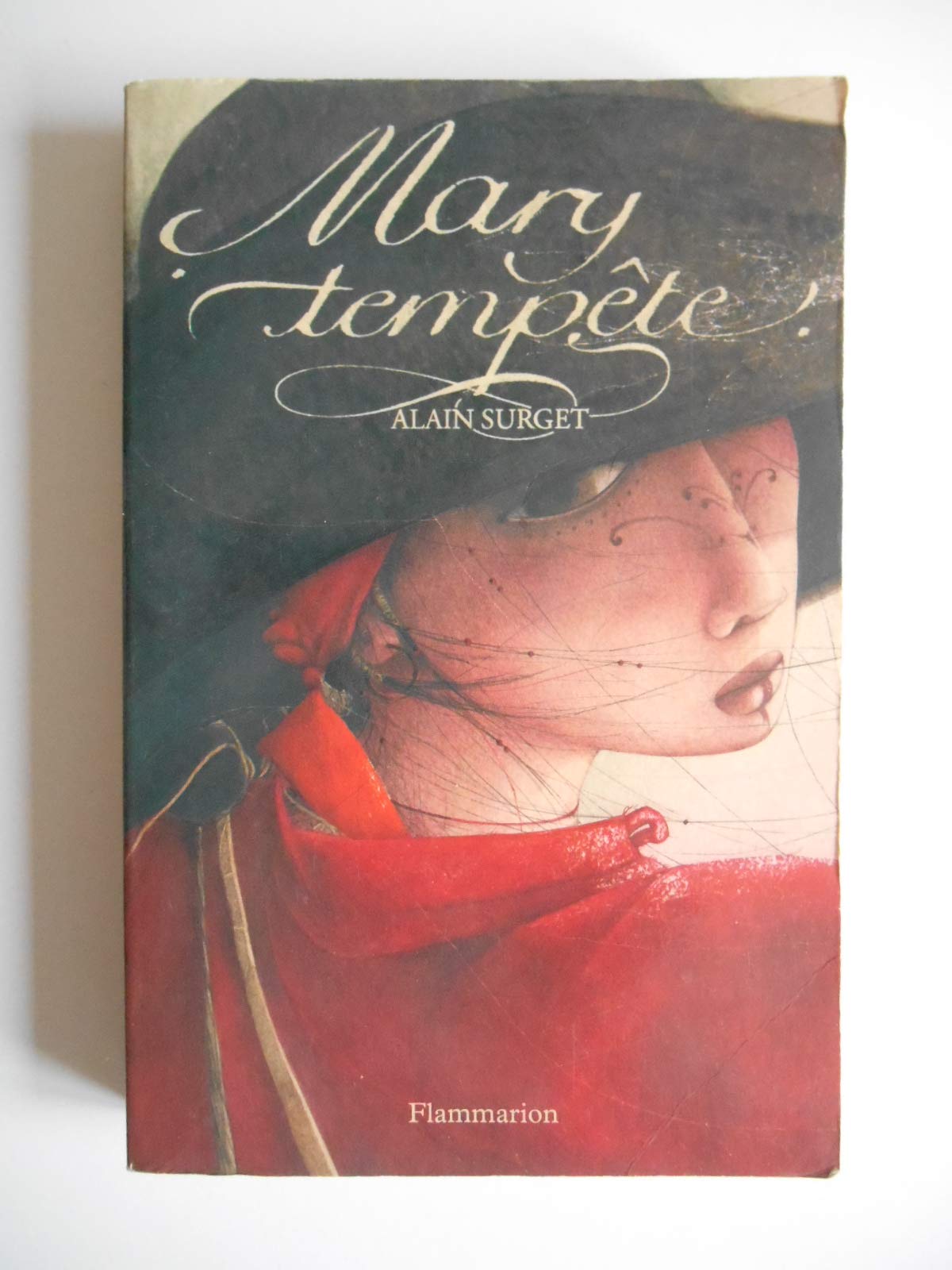 Mary tempête : Le destin d'une femme pirate Fiction