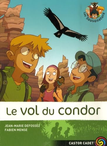 Le vol du condor book