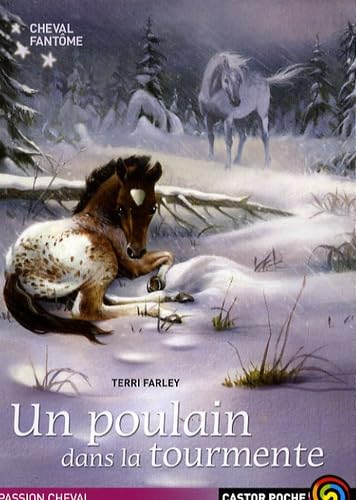 CHEVAL FANTOME - 5 - UN POULAIN DANS LA TOURMENTE book