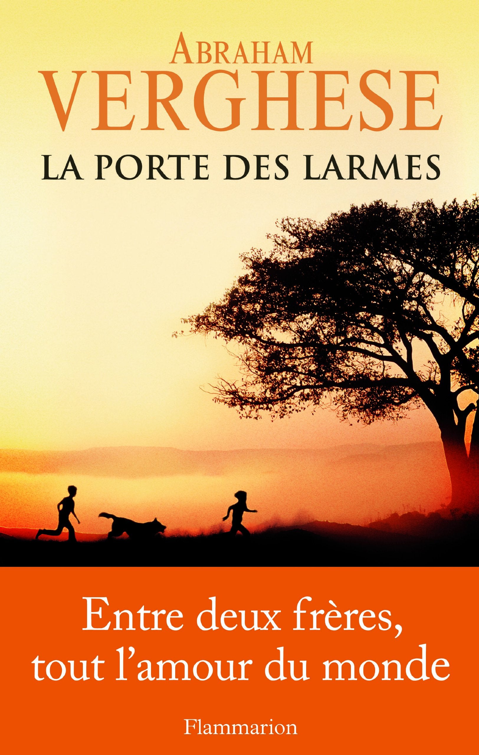 La Porte des larmes Contemporary literature