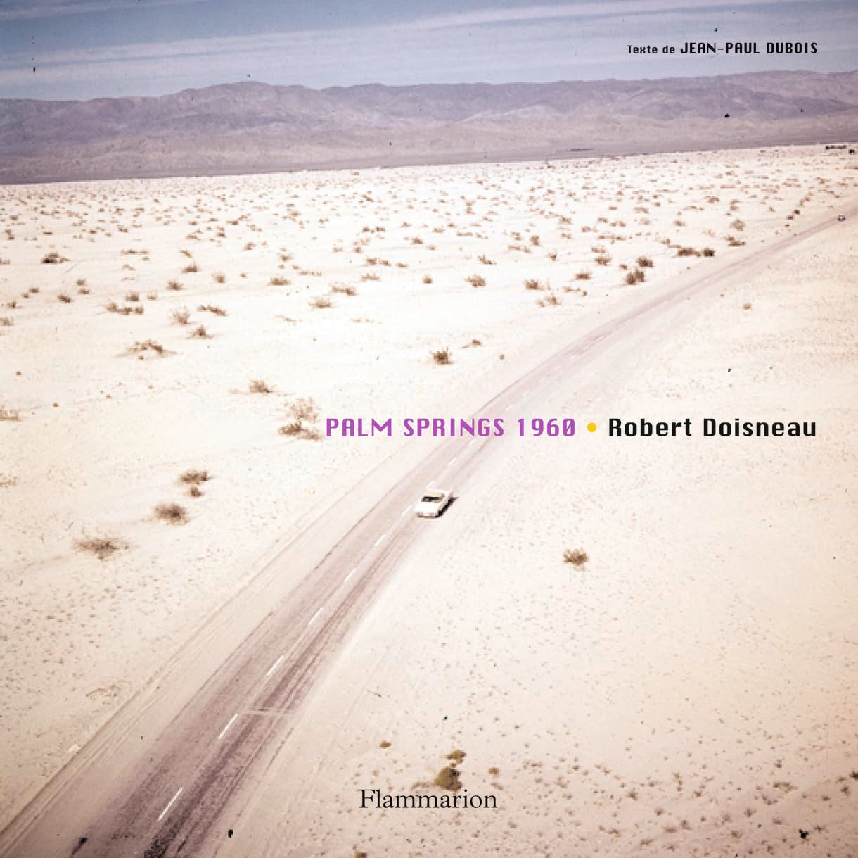 Palm Springs 1960 book