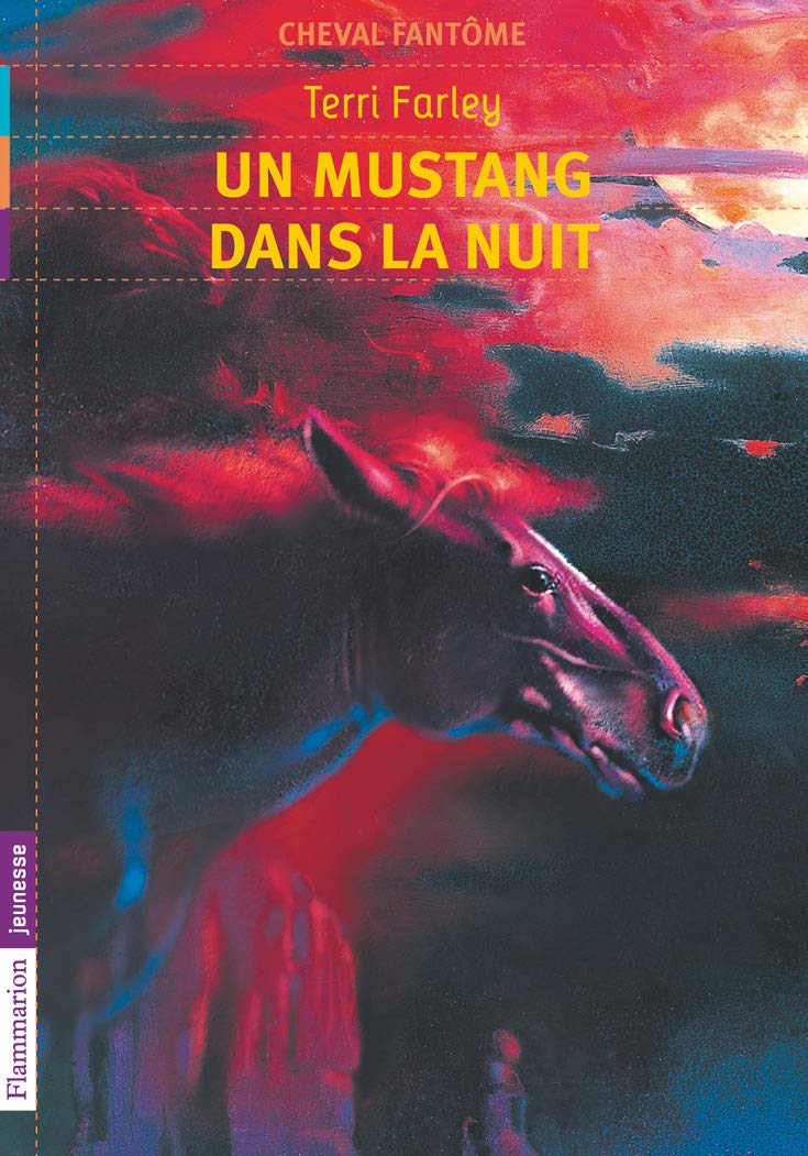 Cheval fantome 2/Un mustang dans la nuit Contemporary literature