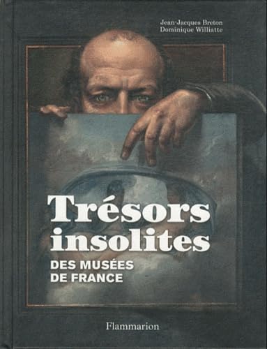 Trésors insolites : des musées de France book