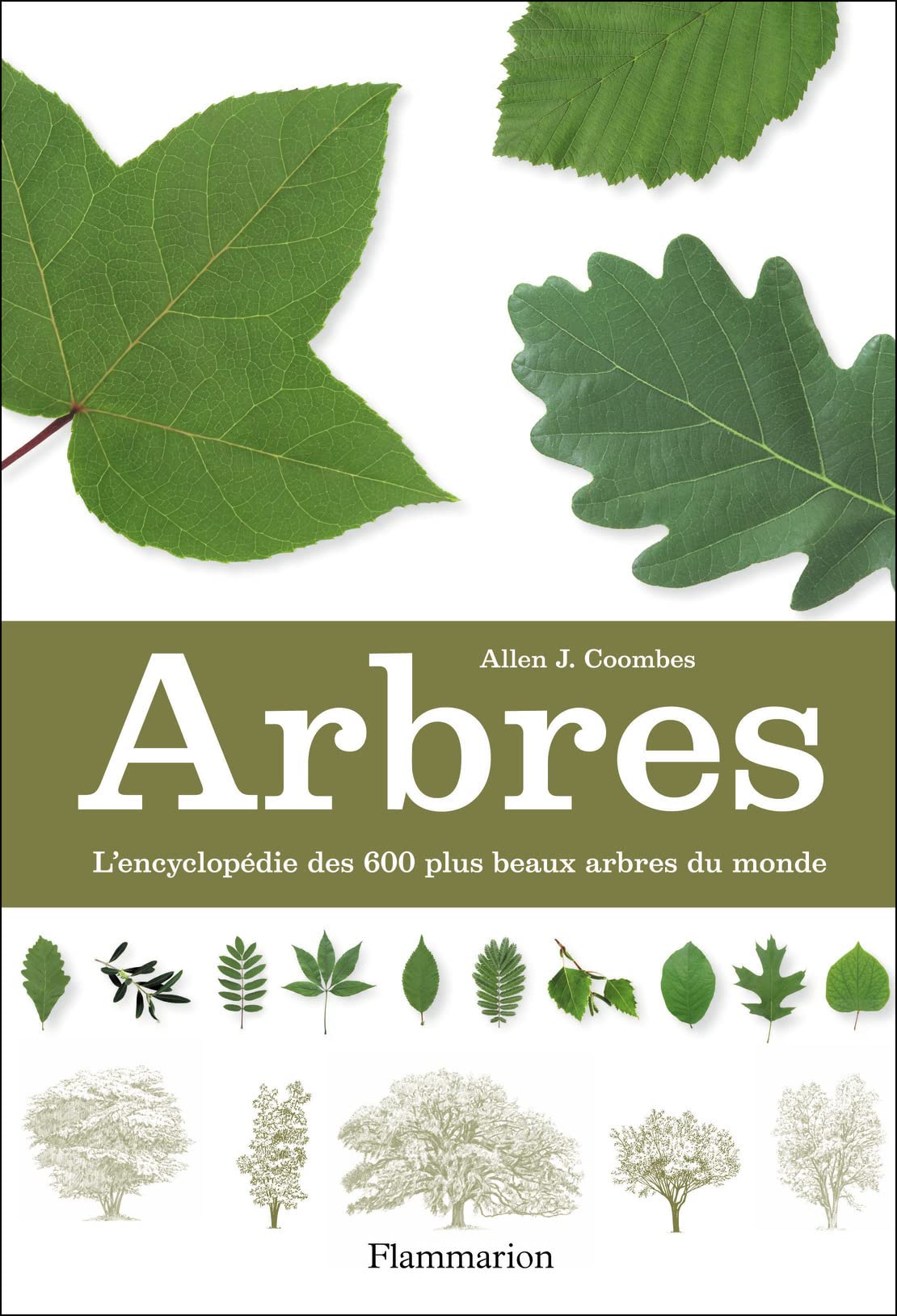 Arbres: L'Encyclopédie des 600 plus beaux arbres du monde Film, Art & Culture