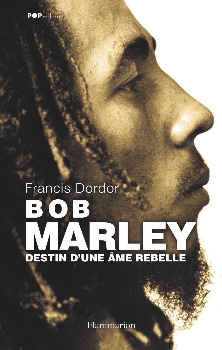 Bob Marley: Destin d'une âme rebelle Contemporary literature
