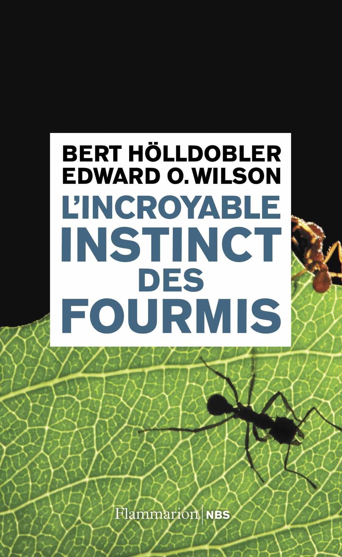 L'Incroyable Instinct des fourmis: De la culture du champignon à la civilisation Business & Technology