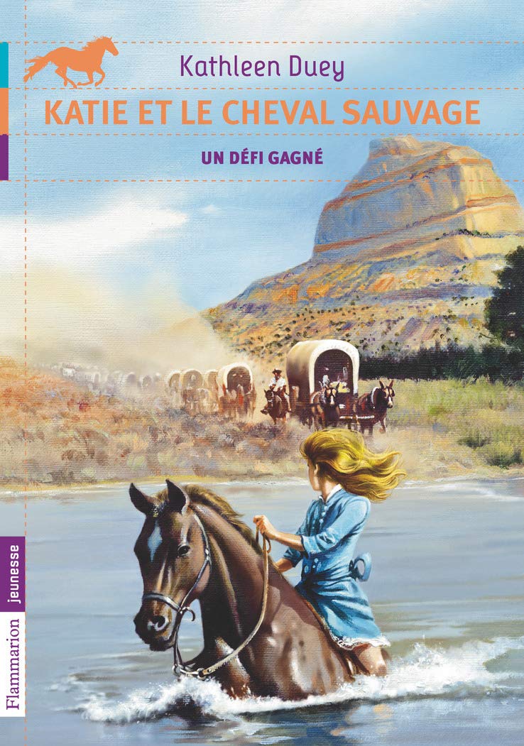 Un défi gagné: UN DEFI GAGNE Novels & Short Stories