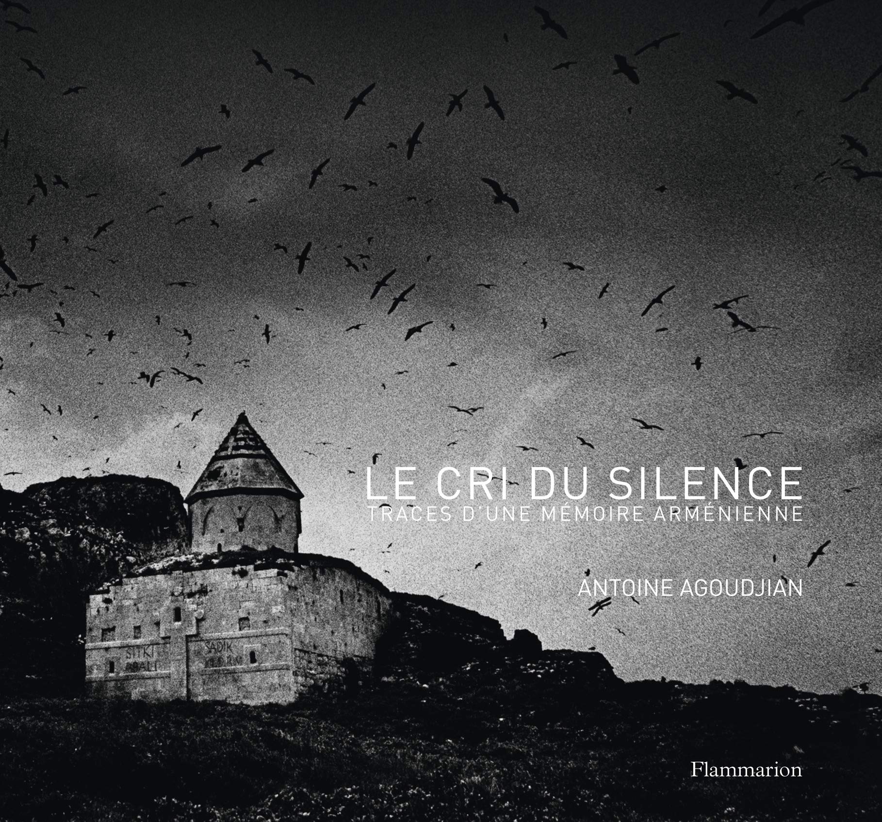 Le Cri du silence: Traces d'une mémoire arménienne Film, Art & Culture