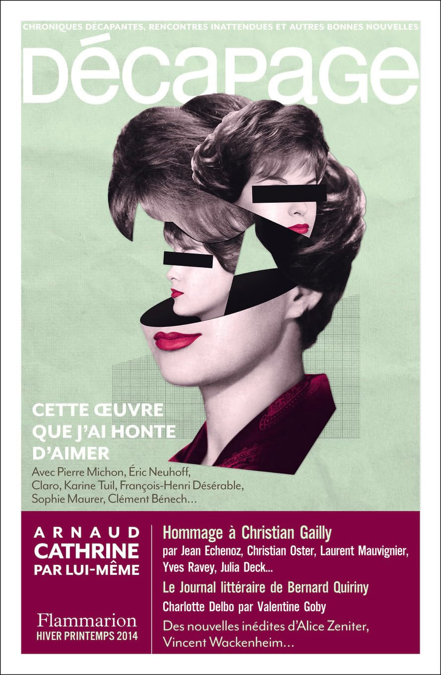 Décapage: Cette oeuvre que j'ai honte d'aimer (49) book
